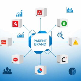 brand portfolio management